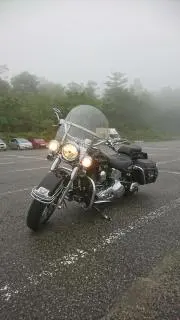 くろきん