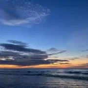 山田 拓海の画像