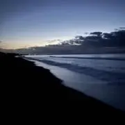 RUAの画像