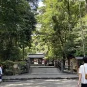 ヨン