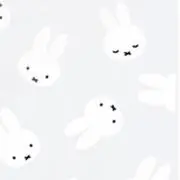 ぴいの画像