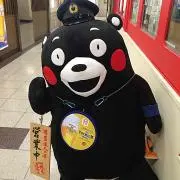二毛作