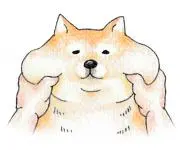 Mochiの画像