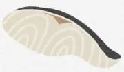 ふなの画像