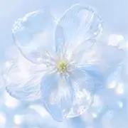 しかく◆ 全て即購入/お纏め可能ですの画像