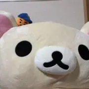 みさの画像