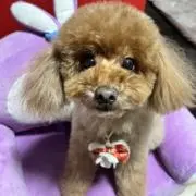 みさちんの画像