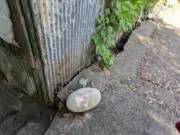 Stackの画像