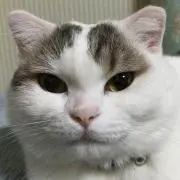 たけ〜し