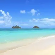 akkyoの画像
