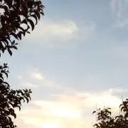 カブト57の画像