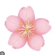 LKH@即購入可ʕ•ᴥ•ʔ定期値下♪