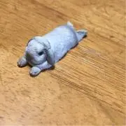 うさぎのちぃたん