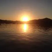 花家