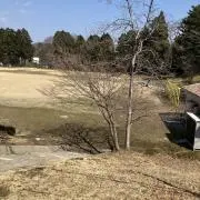 リコピン