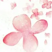 Carolineの画像