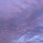 ラッコ