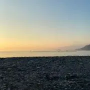 けむしかじかの画像