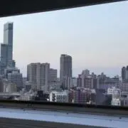 わんわんだよの画像