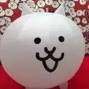 たかぼんの画像