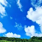 ぱんくん