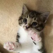 まる