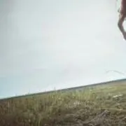 Mayの画像