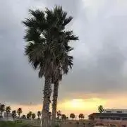 あ(・∀・)おの画像