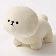 あまねの画像