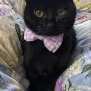みくりん