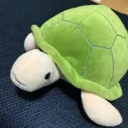 ラフランスの画像