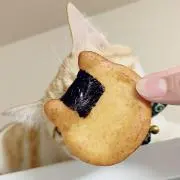 koooの画像
