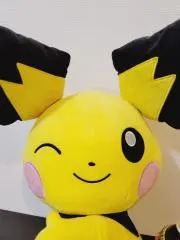 Cocoyの画像