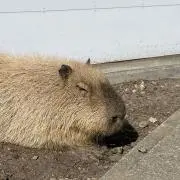 そーちゃん