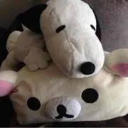 kumaco