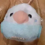 もちもちの画像