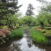 rararaの画像
