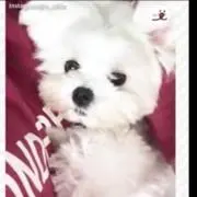 ユギの画像