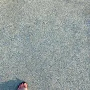 EV@ev