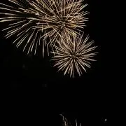 さくらの画像