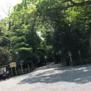 こぶしまる