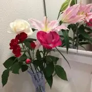 ☆C Y☆の画像