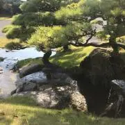 なおくん
