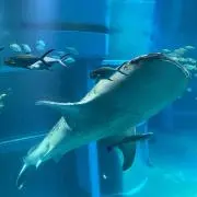 もこの画像