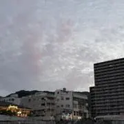 あちゃもんの画像