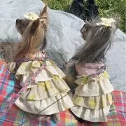 お嬢の画像