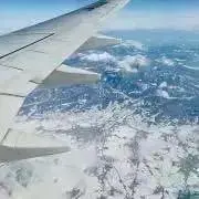 chamosの画像