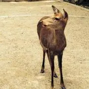 さぁの画像