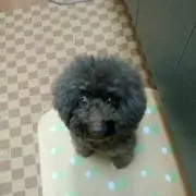say0430の画像