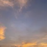 みじんこの画像